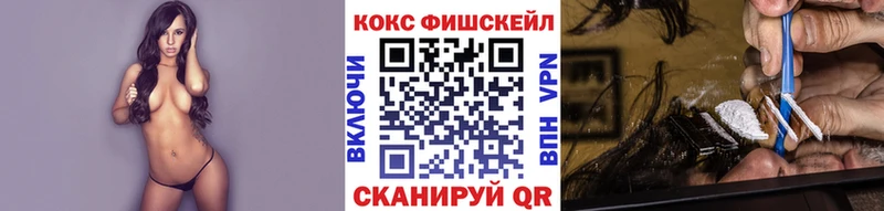 COCAIN Fish Scale  Купить закладки  Дмитров 