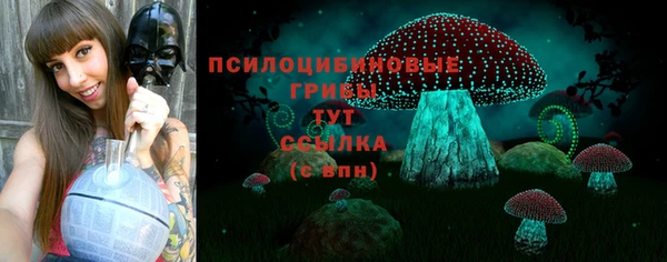 прущие крисы Армянск